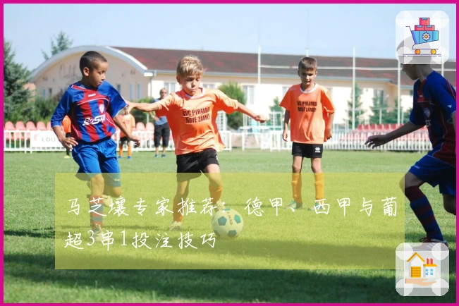 马芝壤专家推荐：德甲、西甲与葡超3串1投注技巧