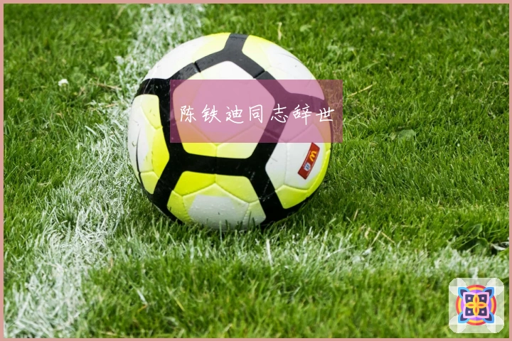 陈铁迪同志辞世