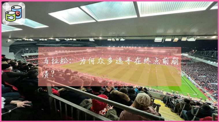 马拉松：为何众多选手在终点前崩溃？